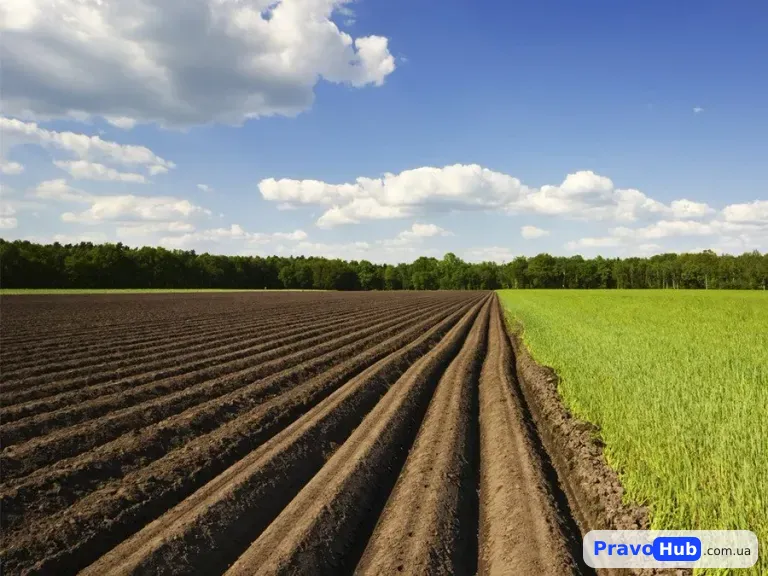Оформлення права власності на землю (паї) у 2025 році: як зареєструвати сільськогосподарську ділянку